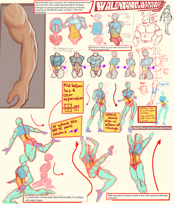 Poses Study